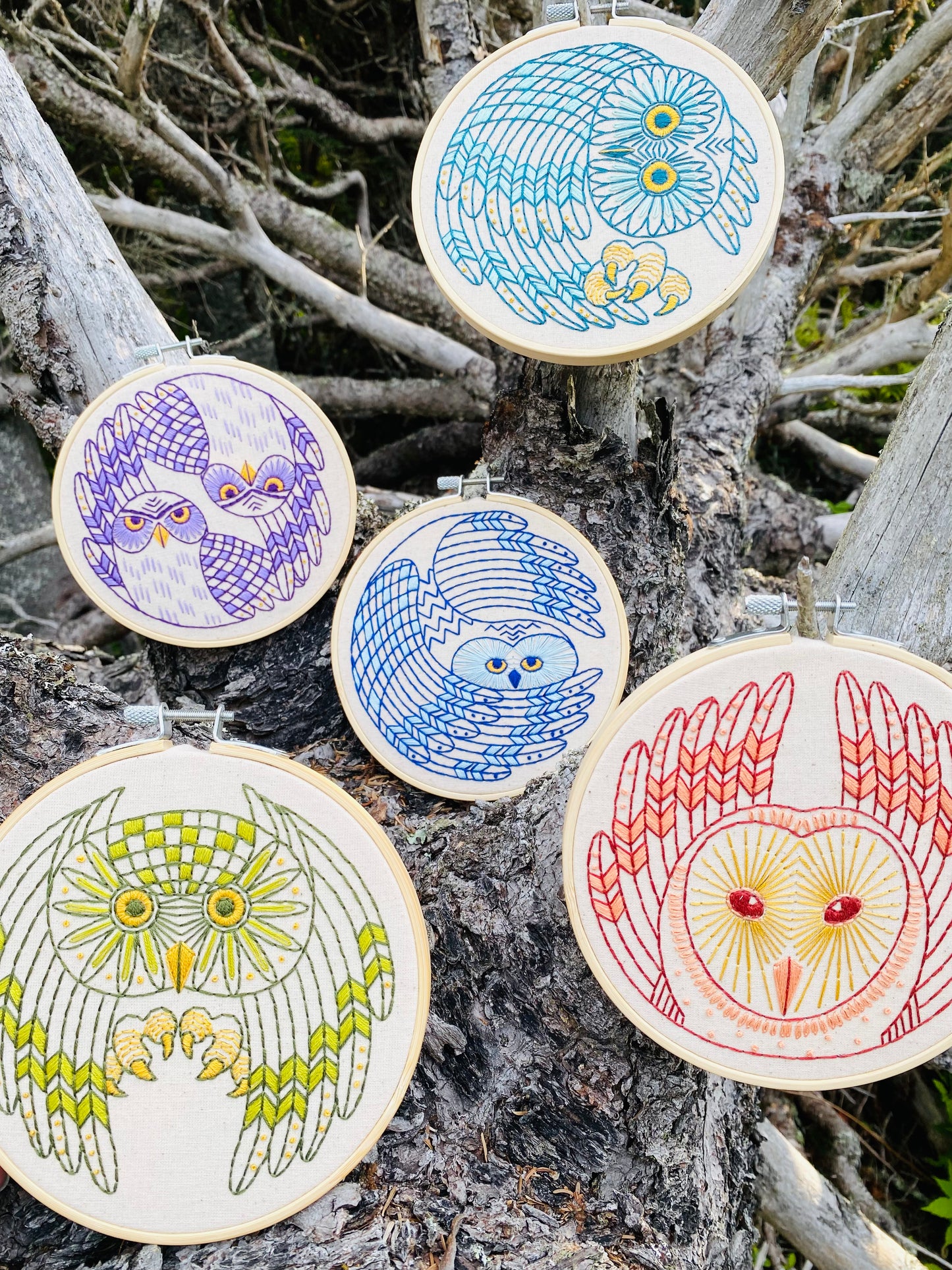 Burrowing Owls Complete Embroidery Kit